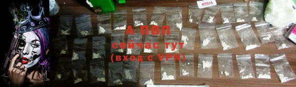 шишки Вязники