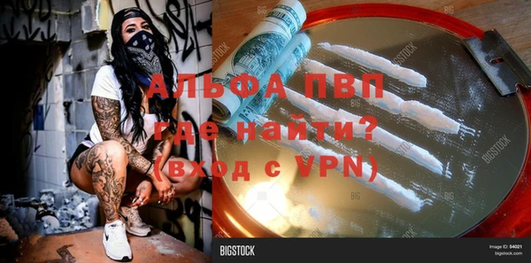 шишки Вязники