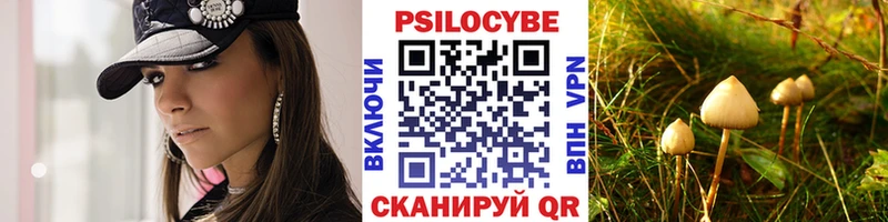 Галлюциногенные грибы Psilocybe Давлеканово
